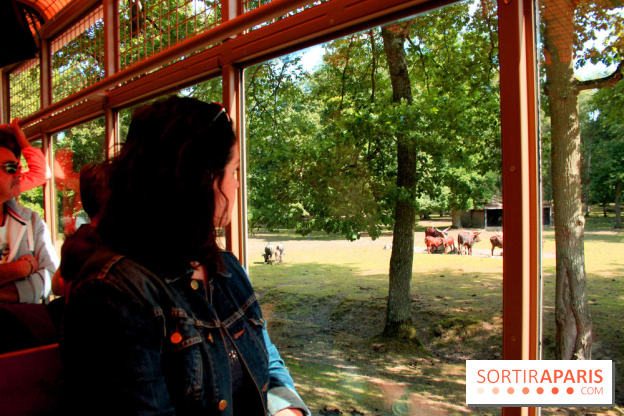 Camion Safari : une visite guidée dans les coulisses de Thoiry