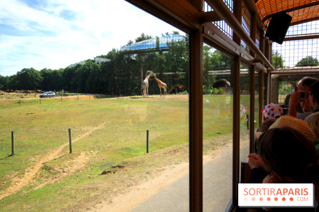 Camion Safari : une visite guidée dans les coulisses de Thoiry