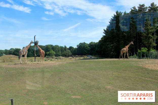 Camion Safari : une visite guidée dans les coulisses de Thoiry