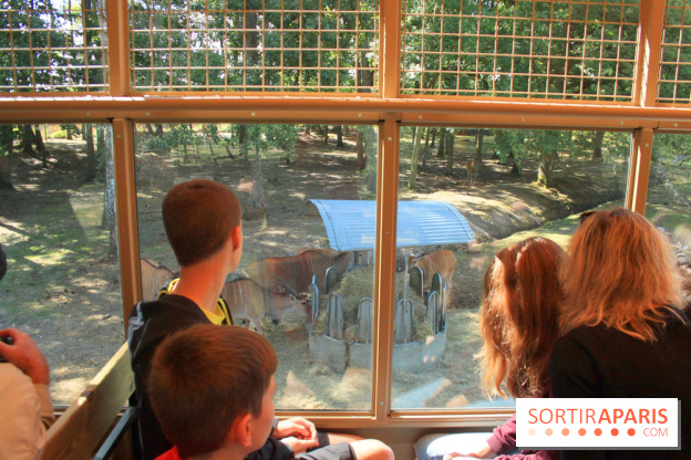 Camion Safari : une visite guidée dans les coulisses de Thoiry