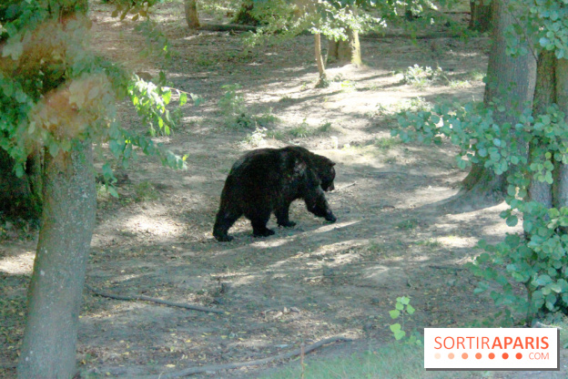 Camion Safari : une visite guidée dans les coulisses de Thoiry