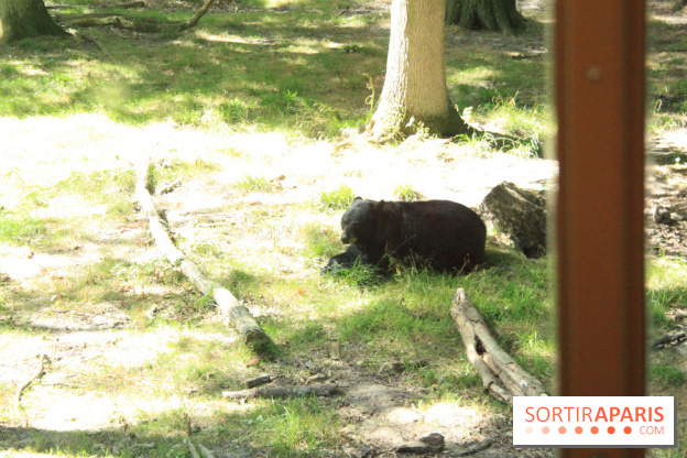 Camion Safari : une visite guidée dans les coulisses de Thoiry