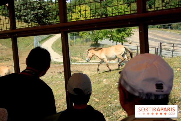 Camion Safari : une visite guidée dans les coulisses de Thoiry