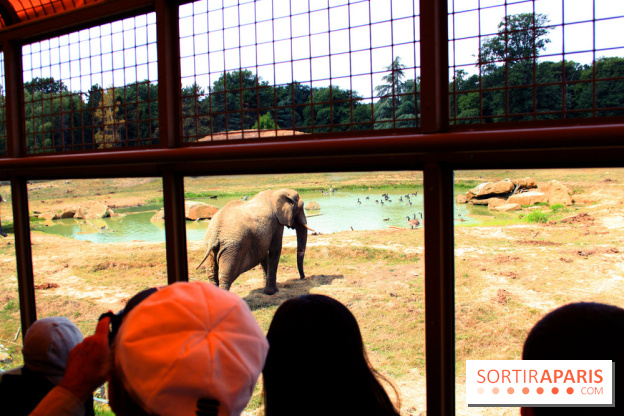 Camion Safari : une visite guidée dans les coulisses de Thoiry