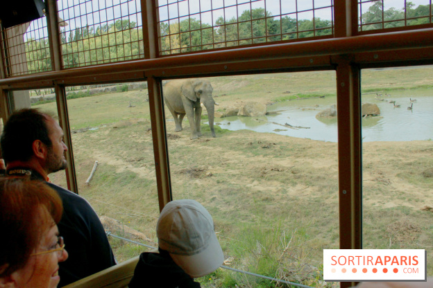 Camion Safari : une visite guidée dans les coulisses de Thoiry