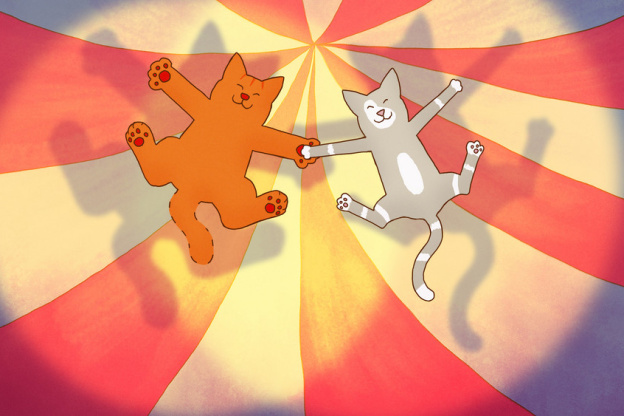 Tom le chat : film d’animation jeunesse autour d’un doudou disparu