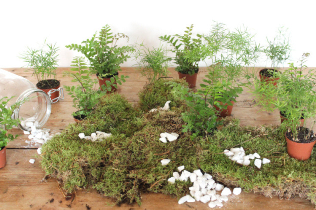 Le mercredi tout est permis à Bercy Village