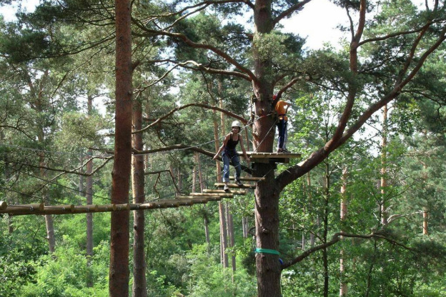 Atout Branches le parcours d'accrobranche à Milly la Forêt
