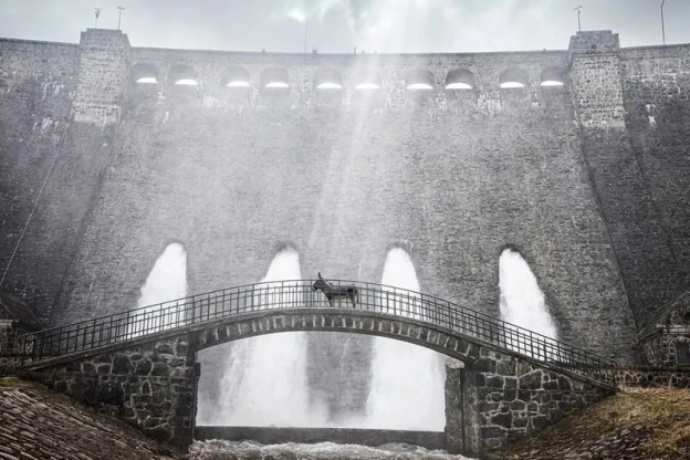 EO (HI-HAN) de Jerzy Skolimowski