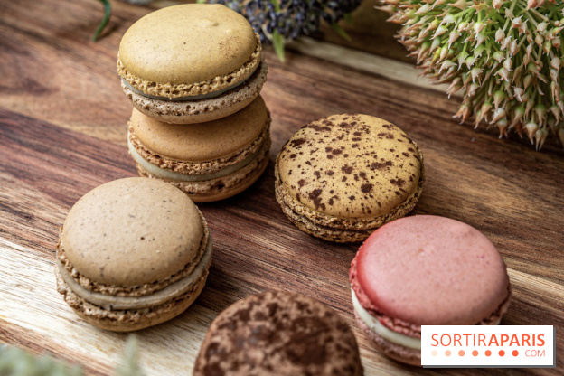 Pierre Hermé Macaron