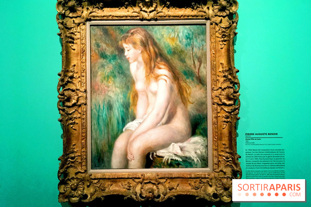 Monet Collectionneur, les photos de l'exposition 