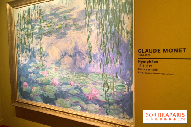 Monet Collectionneur, les photos de l'exposition 