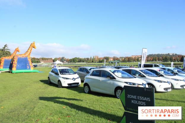 Ventes de voitures d'occasion à 'lhippodrome de St Cloud