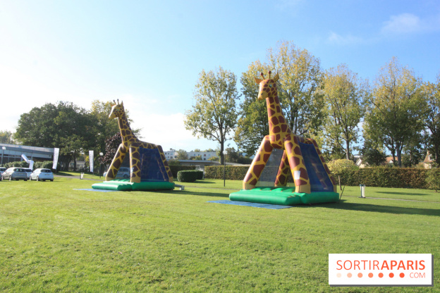 Ventes de voitures d'occasion à 'lhippodrome de St Cloud