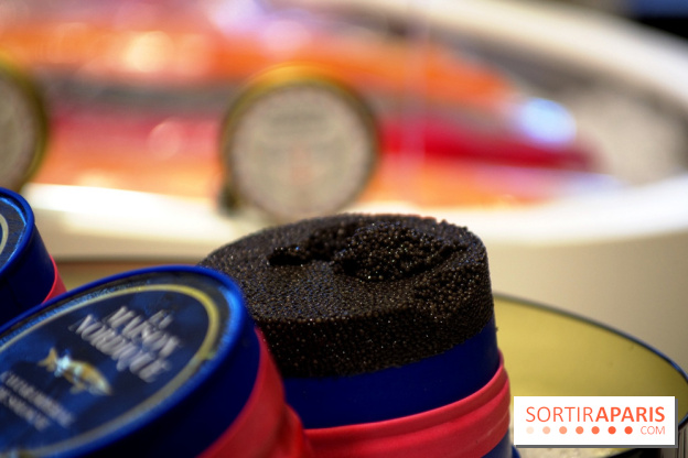 La Maison Nordique x Marin Montagut