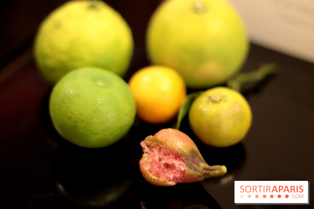 Le Limon : le nouveau resto de Juan Arbealez, les photos