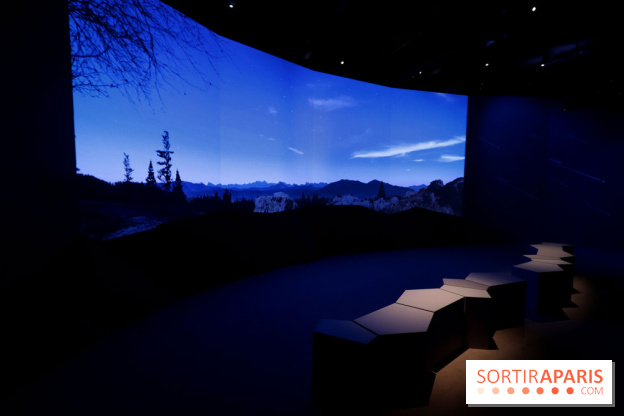 Exposition Météorites au Muséum national d'Histoire naturelle, les photos