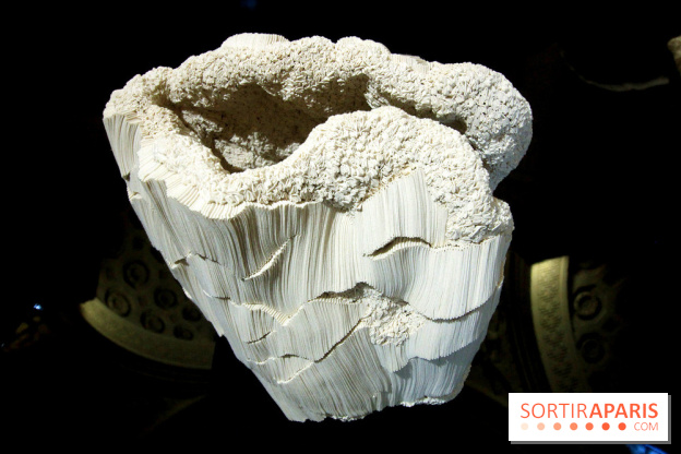 Un monde de plis à la chapelle Expiatoire