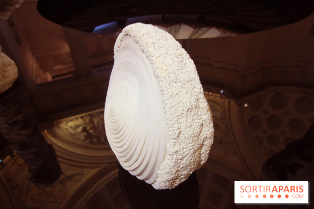 Un monde de plis à la chapelle Expiatoire