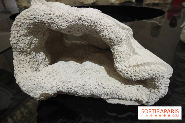 Un monde de plis à la chapelle Expiatoire