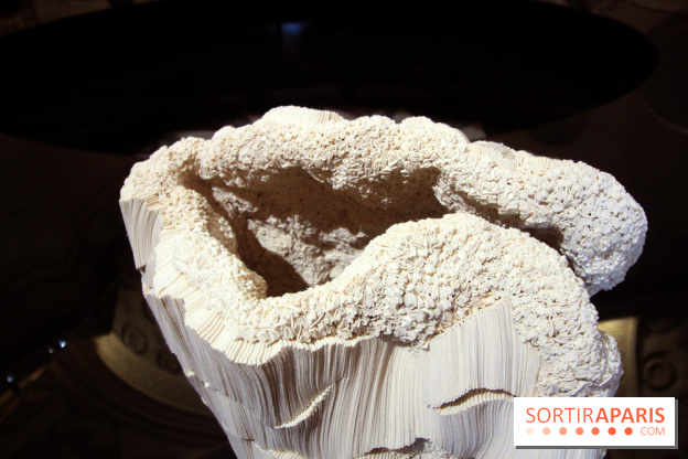 Un monde de plis à la chapelle Expiatoire