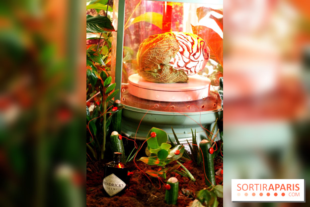 Chambers of the Curious, édition 2017, à l'Hôtel Particulier Montmartre