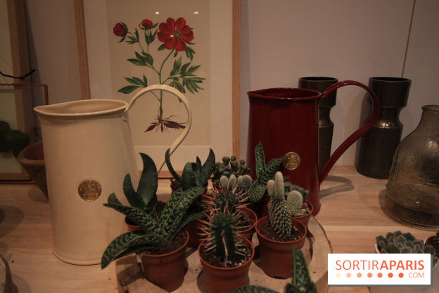 Le pop-up Store de Bergamotte