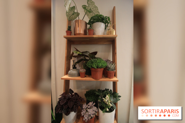 Le pop-up Store de Bergamotte