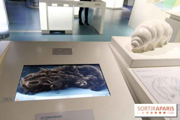 Froid à la Cité des Sciences