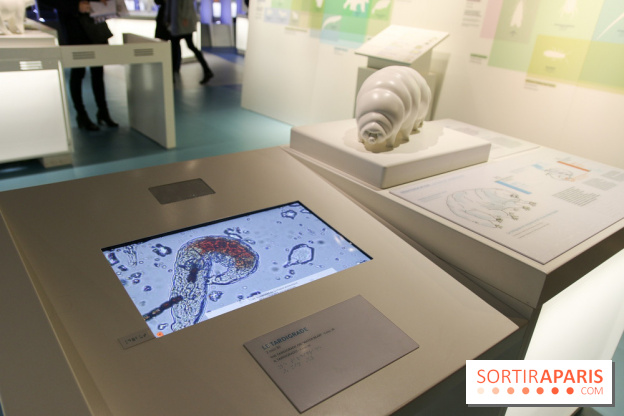 Froid à la Cité des Sciences