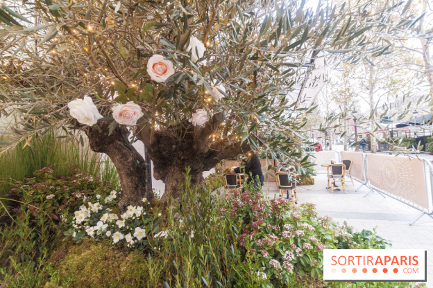 Le 86Champs, le nouveau salon de thé de Pierre Hermé