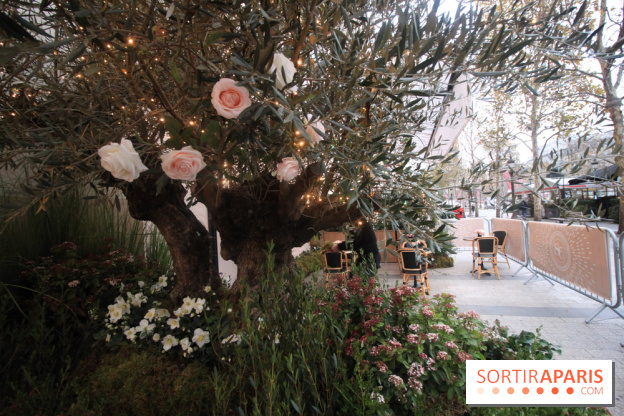 Le 86Champs, le nouveau salon de thé de Pierre Hermé