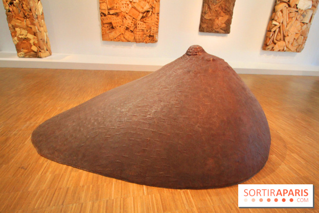 César, l'exposition au Centre Pompidou