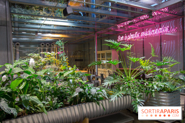 Patate, l'expo à la Cité des Sciences