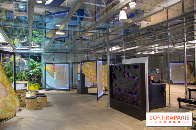 Patate, l'expo à la Cité des Sciences