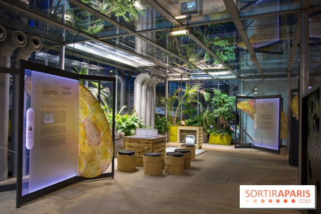 Patate, l'expo à la Cité des Sciences