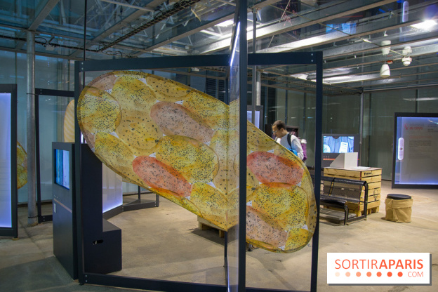 Patate, l'expo à la Cité des Sciences