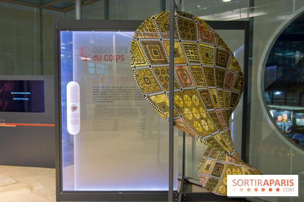 Patate, l'expo à la Cité des Sciences