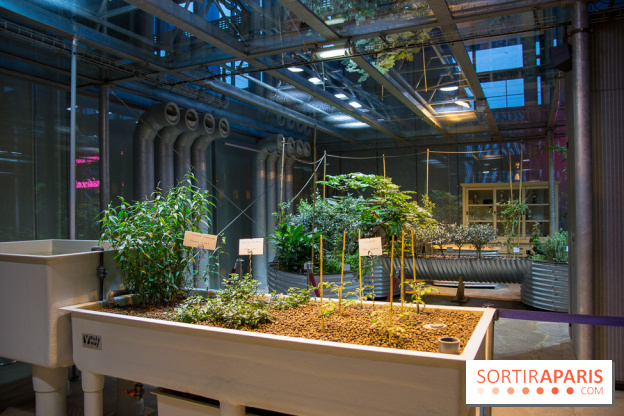 Patate, l'expo à la Cité des Sciences