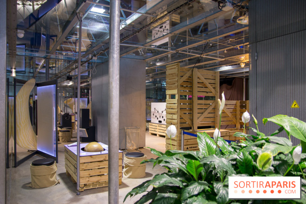 Patate, l'expo à la Cité des Sciences