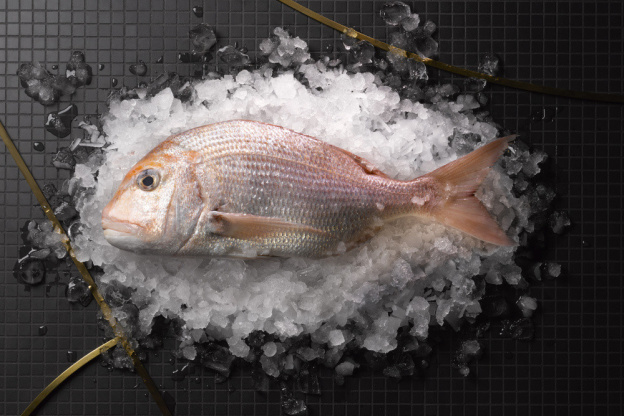 Le Printemps du Goût