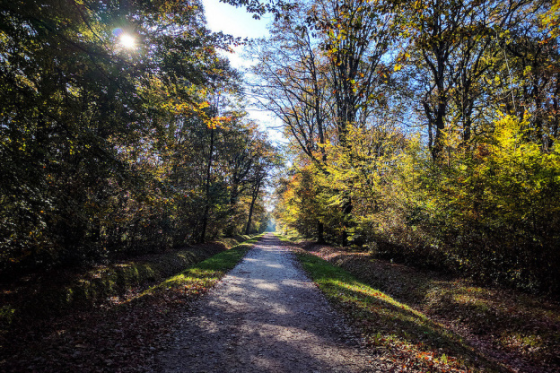 Randonnée à Paris : 5 itinéraires à découvrir en février 2021 