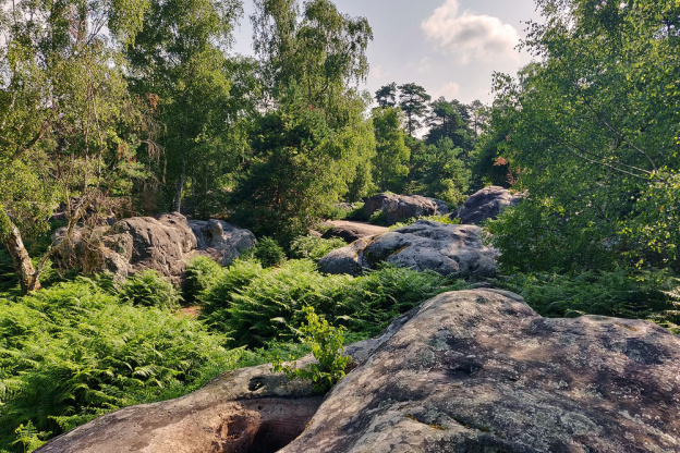 Déconfinement : les randonnées campagnes et forêts à découvrir autour de Paris 
