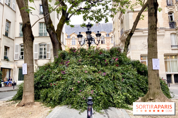 Paris : une première "forêt urbaine" va voir le jour à Montparnasse avant 2024