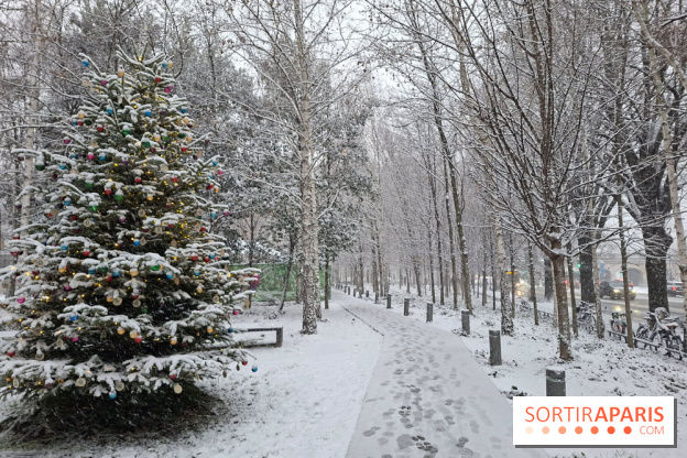 La Neige à Paris - IMG 20260105 181957