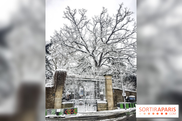 La Neige à Paris
