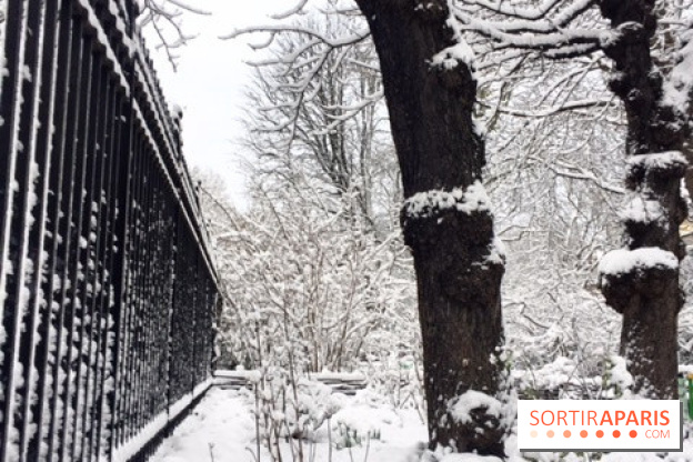 La Neige à Paris