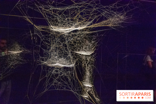 Base de données LaurentP