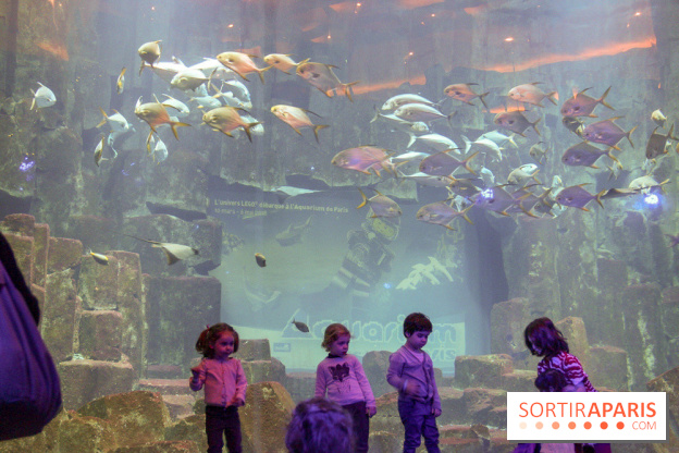Les 60 ans de LEGO® à l'Aquarium de Paris