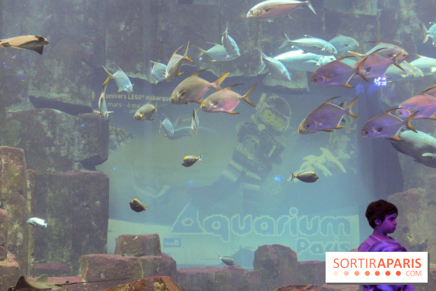 Les 60 ans de LEGO® à l'Aquarium de Paris